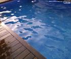 Прекрасный частный бассейн для жарких летних дней